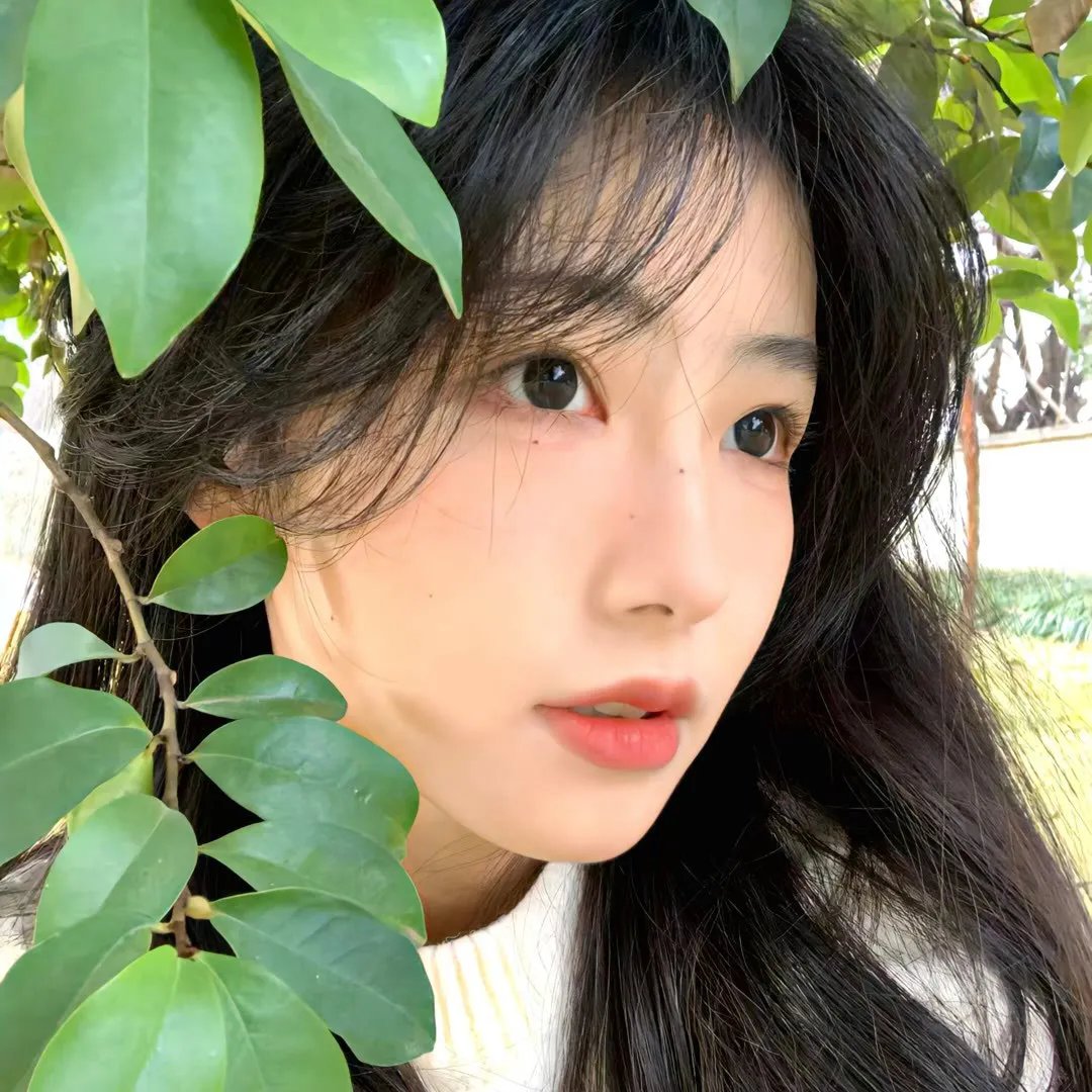 金星小姐